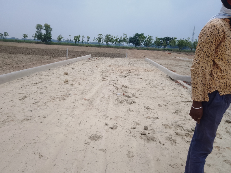  Residential Plot 1500 Sq.ft. for Sale in Tal Kandala, Gorakhpur