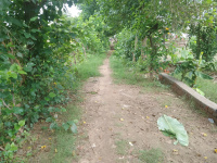  Residential Plot for Sale in Nanda Nagar, Gorakhpur