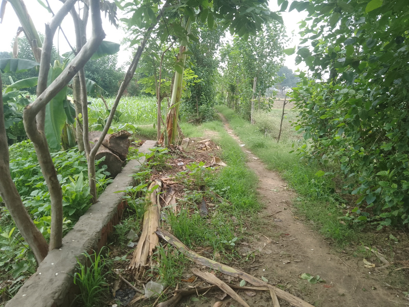  Residential Plot 1800 Sq.ft. for Sale in Nanda Nagar, Gorakhpur