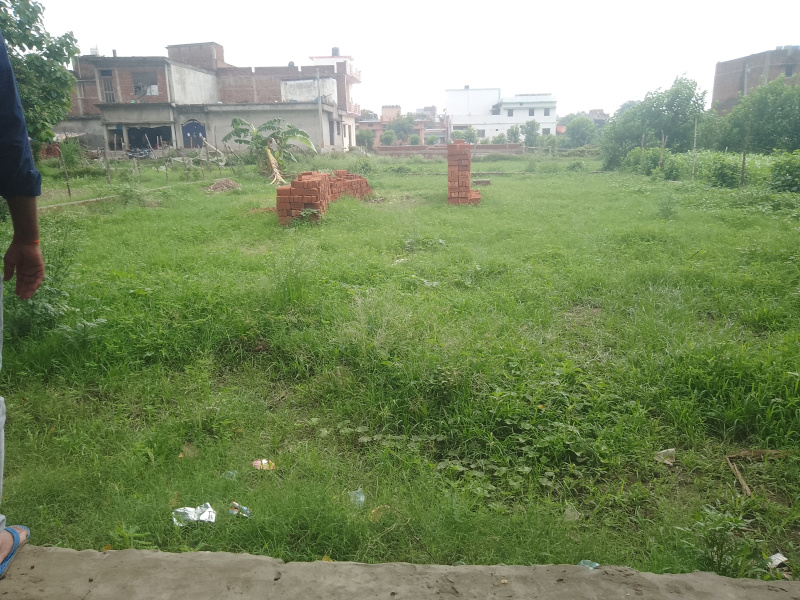  Residential Plot 1500 Sq.ft. for Sale in Rajendra Nagar, Gorakhpur