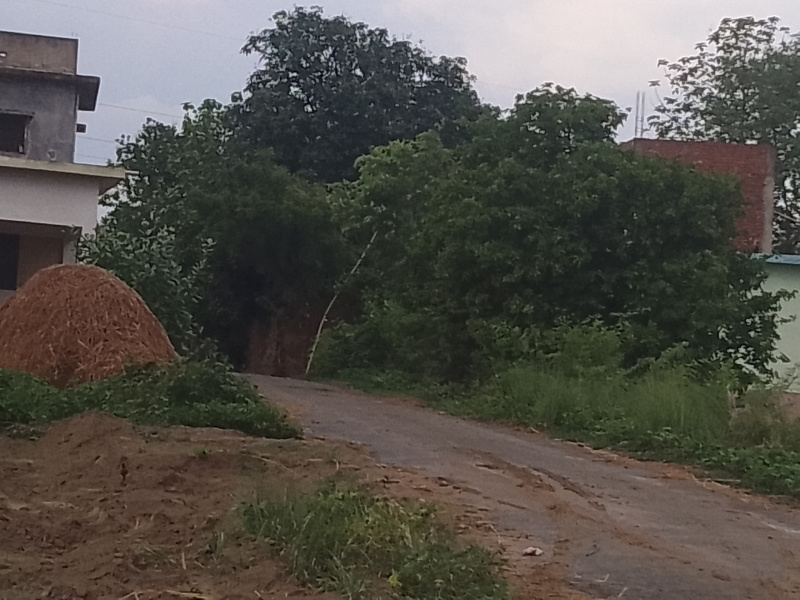  Residential Plot 1000 Sq.ft. for Sale in Khorabar, Gorakhpur