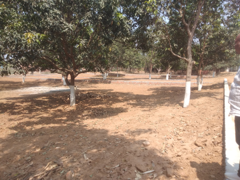  Residential Plot 1000 Sq.ft. for Sale in Madapar, Gorakhpur