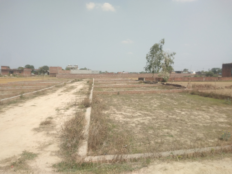  Residential Plot 1000 Sq.ft. for Sale in Madapar, Gorakhpur
