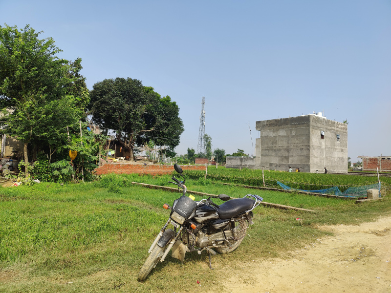  1500 Sq.ft. Residential Plot for Sale in Tal Kandala, Gorakhpur