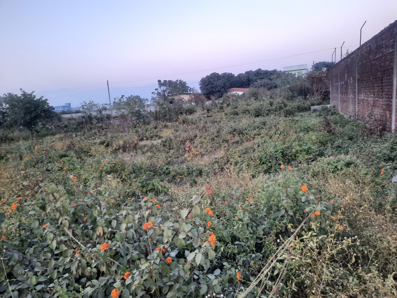  Residential Plot 1980 Sq.ft. for Sale in Rampur, Haldwani