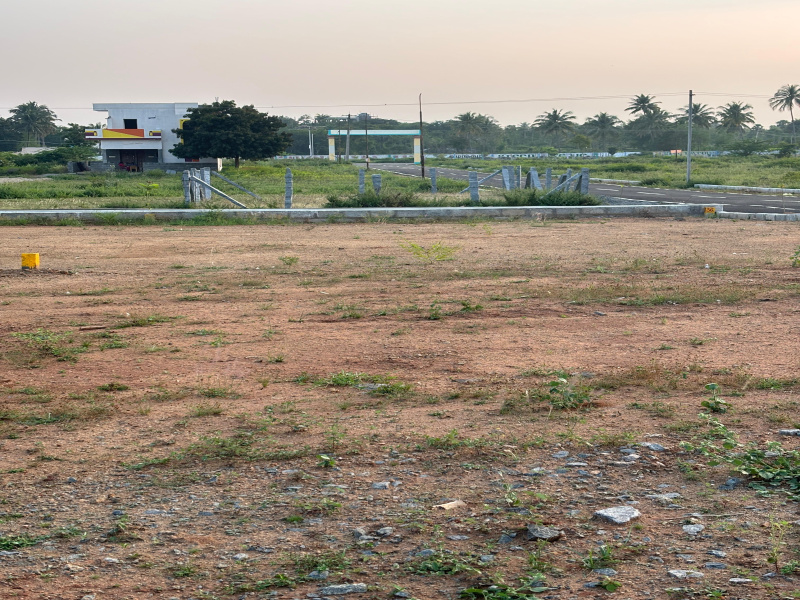  Residential Plot 1200 Sq.ft. for Sale in Kariamangalam, Dharmapuri