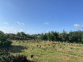  Residential Plot for Sale in Mysore Road, Bangalore