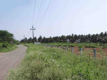  Agricultural Land for Sale in Kinathukadavu, Coimbatore