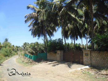  Agricultural Land for Sale in Pollachi, Coimbatore