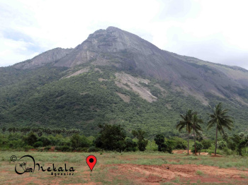  Agricultural Land for Sale in Ettimadai, Coimbatore