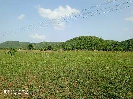  Agricultural Land for Sale in Khandwa Road, Indore
