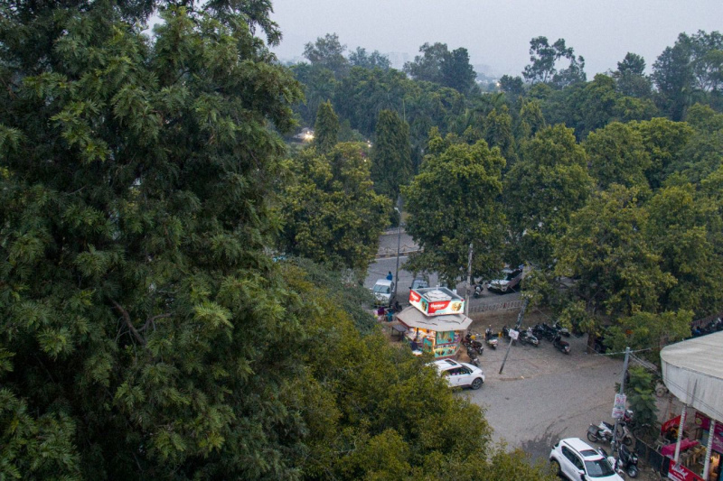  Commercial Land 1123 Sq.ft. for Sale in 100 Ft Road, Udaipur