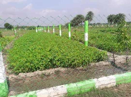  Agricultural Land 10000 Sq.ft. for Sale in Madurantakam, Kanchipuram
