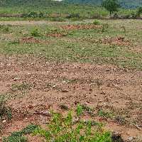  Agricultural Land for Sale in Yerragondapalem, Prakasam