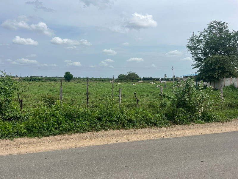  Agricultural Land 1 Ares for Sale in Narasaraopet, Guntur