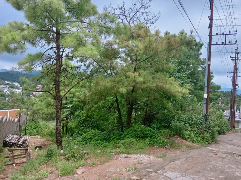  3900 Sq.ft. Residential Plot for Sale in Nongrah, Shillong