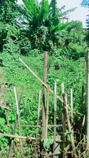  2500 Sq.ft. Residential Plot for Sale in Mawpat, East Khasi Hills