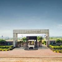  Residential Plot for Sale in Yamuna Expressway, Greater Noida