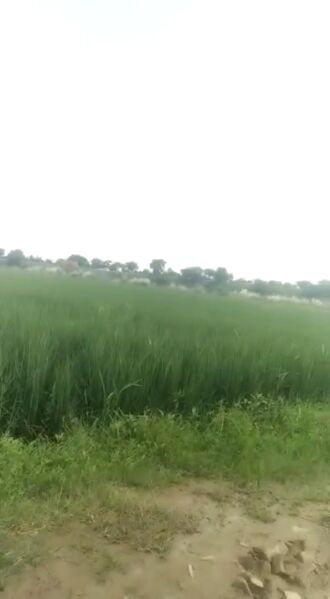  Agricultural Land 50 Bigha for Sale in Jalvayu Vihar, Greater Noida
