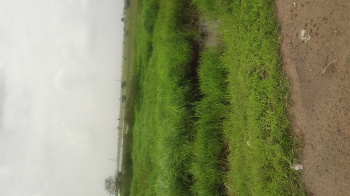  Commercial Land for Sale in Tarsali, Vadodara