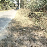  Agricultural Land for Sale in Biharigarh, Saharanpur