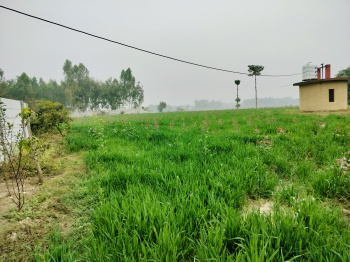  Agricultural Land for Sale in Biharigarh, Dehradun