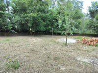  Residential Plot for Sale in Biharigarh, Dehradun