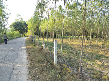  Agricultural Land for Sale in Biharigarh, Dehradun
