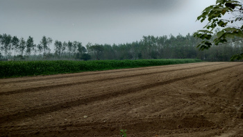  Agricultural Land for Sale in Janta Road, Saharanpur