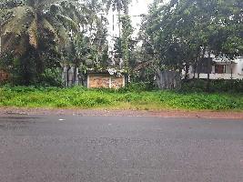  Commercial Land for Sale in Kumbla, Kasaragod