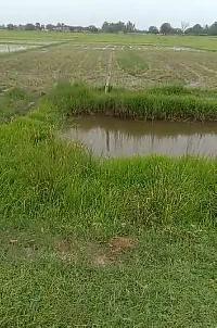 Agricultural Land for Sale in Utraula, Balrampur