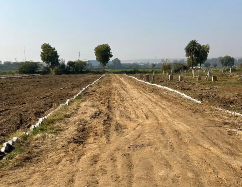  Residential Plot 100 Sq. Yards for Sale in Sohna, Gurgaon
