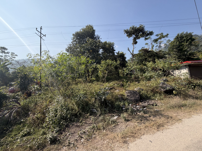  7 Katha Residential Plot for Sale in Mirik, Darjeeling