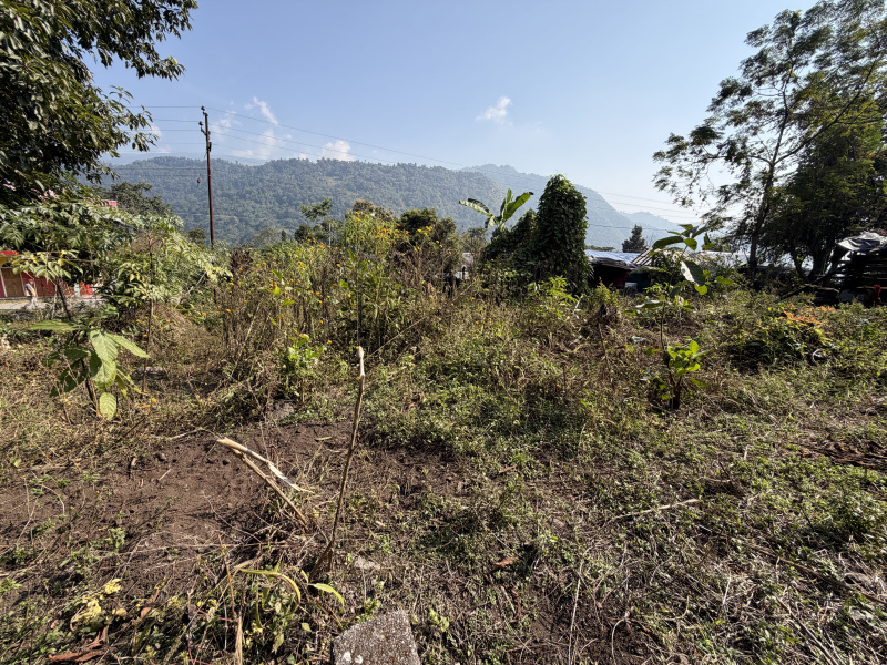  7 Katha Residential Plot for Sale in Mirik, Darjeeling
