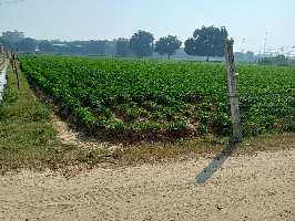  Agricultural Land for Sale in Hathras Road, Agra