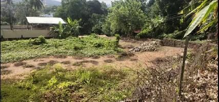  Residential Plot for Sale in Kozhencherry, Pathanamthitta