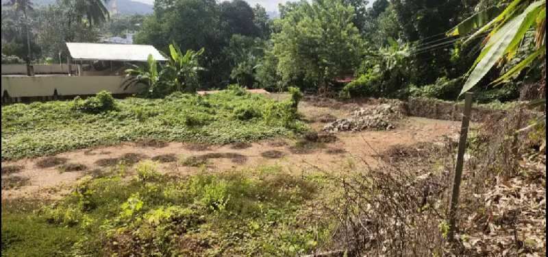  Residential Plot 38 Cent for Sale in Kozhencherry, Pathanamthitta