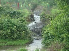  Residential Plot for Sale in Wada, Palghar