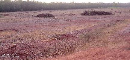  Agricultural Land for Sale in Rampurhat, Birbhum