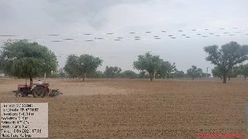  Agricultural Land for Sale in Sambhar, Jaipur