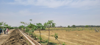  Residential Plot for Sale in Shankargarh, Allahabad