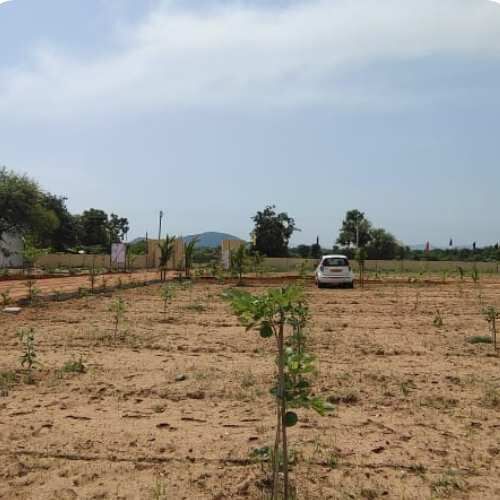  Agricultural Land 242 Sq. Yards for Sale in Jadcherla, Mahbubnagar