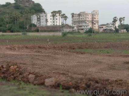  Residential Plot 200 Sq. Yards for Sale in Rajiv Nagar, Guntur