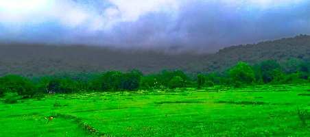  Agricultural Land for Sale in Ankola, Uttara Kannada