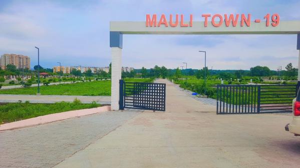  Residential Plot 1200 Sq.ft. for Sale in Wardha Road, Nagpur