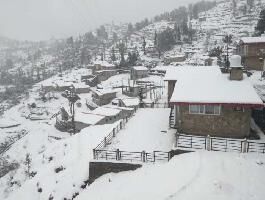  Residential Plot for Sale in Mukteshwar, Nainital