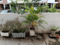 3 BHK House for Sale in Pisadevi Road, Aurangabad