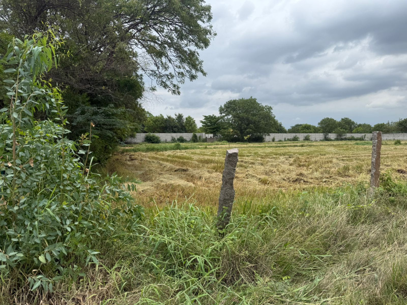  2 Acre Agricultural/Farm Land for Sale in Kusumanchi, Khammam