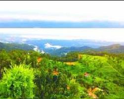  Agricultural Land for Sale in Bhimtal, Nainital