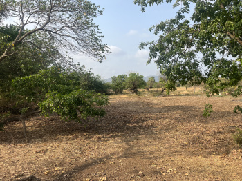  Residential Plot for Sale in Mandwa, Alibag, Raigad